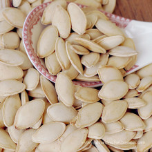 Common hybrid pumpkin seeds in shell